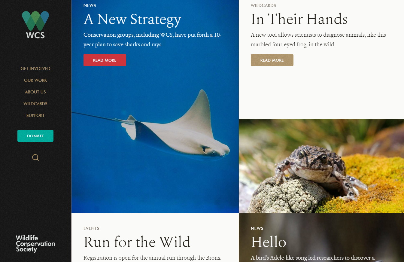screenshot of Wildlife Conservation Society website homepage